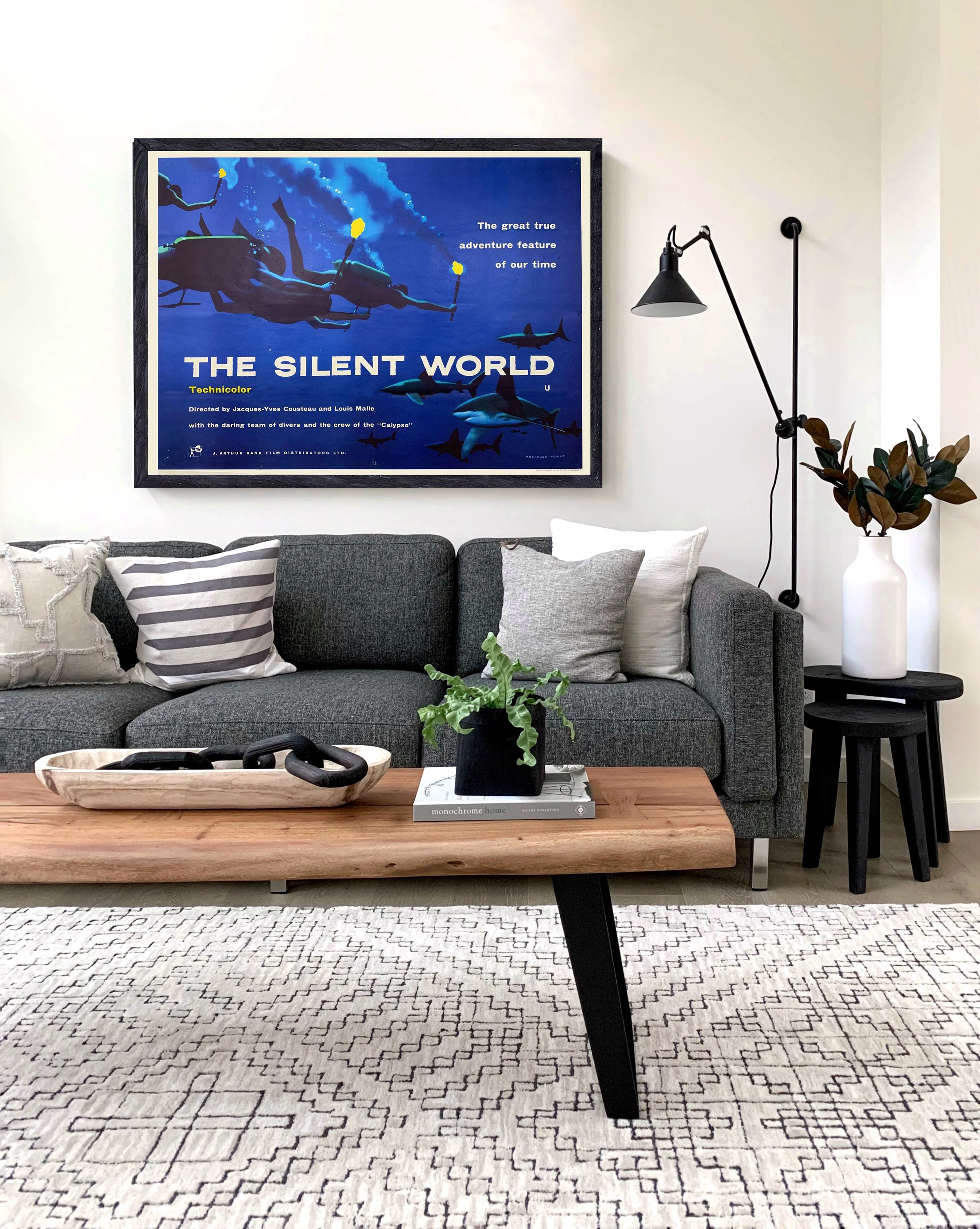 The Silent World - Image 4